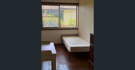 5+Sun room House in Walking distance to Wollongong University - Photo 3