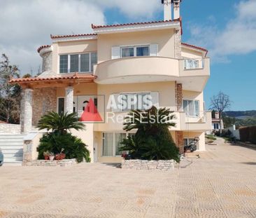 Διαμέρισμα για ενοικίαση Βραυρώνα (Μαρκόπουλο) - Photo 5