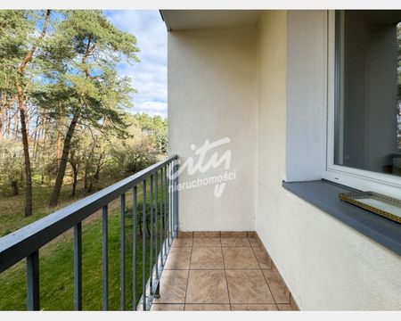 Goleniów - Zdjęcie 5