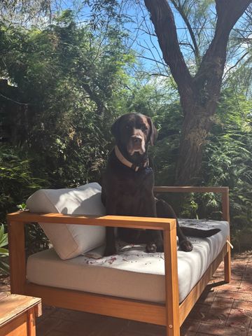 Scarborough - Photo 4