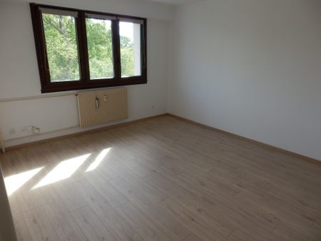 Location Appartement 2 pièces 56m² LINGOLSHEIM 67380 - Photo 3