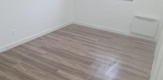 Grand 4 1/2 éclairé - Photo 2