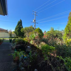 Loganholme - Photo 3