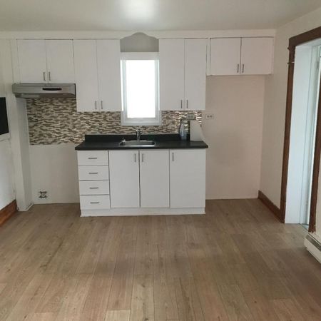 Grand 4 1/2 avec cachet ancestral - Photo 3