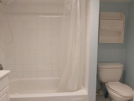 For Lease - 12 Glenstroke Drive Unit# Basement, Toronto, Ontario - Photo 4