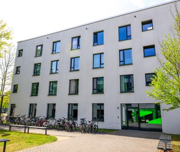 Bigger Bude 4.02.14 - Photo 6