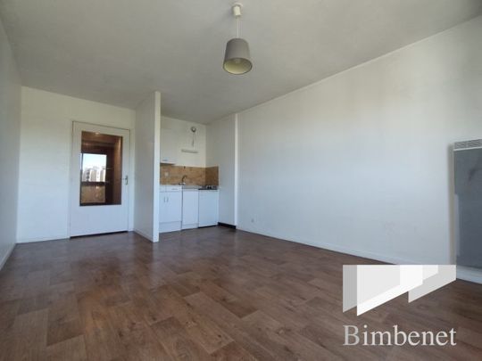Appartement à louer, 1 pièce - Orléans 45100 - Photo 1