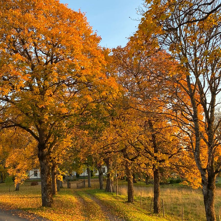 Eckersholm, Vaggeryd - Photo 1