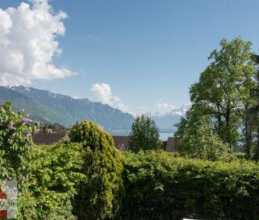 BELLE VILLA INDIVIDUELLE A BLONAY - Photo 4