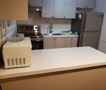 For Lease - 19 Bingham Street Unit# Basement, Richmond Hill, Ontario - Photo 4