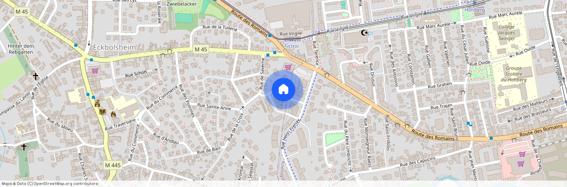 11 Rue Henri Frenay, 67201, Eckbolsheim