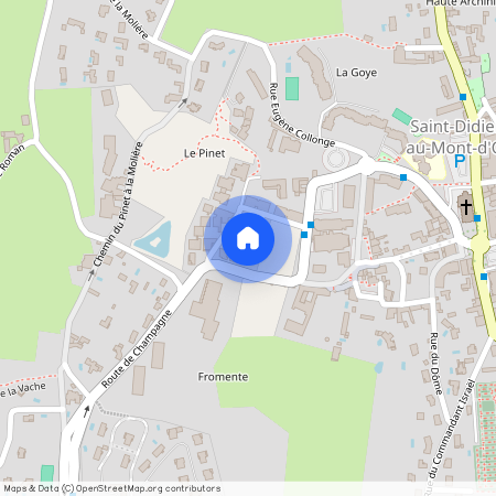 69370, Saint-Didier-Au-Mont-D'Or