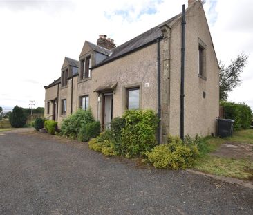 2 Hassington West Mains Farm Cottages - Photo 6