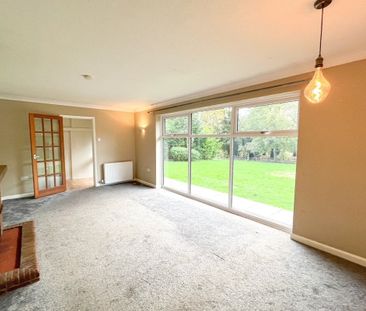 Main Street - Photo 2