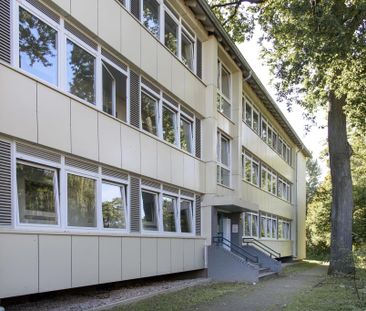 Demnächst frei! 2-Zimmer-Wohnung in Detmold Hiddeser Berg - Foto 1