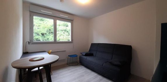 Location Appartement 1 pièce 20m² CALUIRE ET CUIRE 69300 - Photo 2