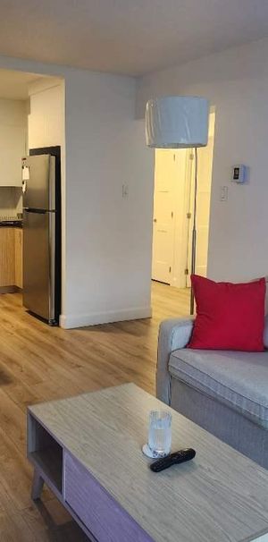 Cession de bail a court term ,disponible des maintenant pour entrer. - Photo 1