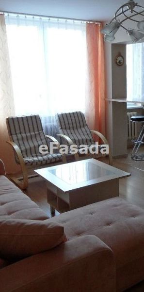 EFS-MW-12 Mieszkanie na wynajem - Photo 1