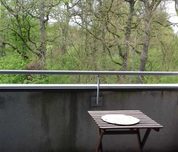 Location appartement 2 pièces - 59.07m² à Fonbeauzard (31140) - Photo 4