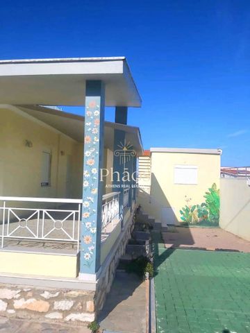 Μονοκατοικία για ενοικίαση Περιβόλια (Ραφήνα) - Photo 2