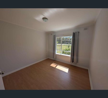 306-312 Adelaide Road, Murray Bridge, SA 5253 - Photo 5