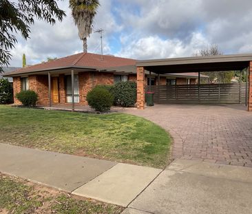 11 Plantation Street, Mildura VIC 3500 - Photo 4