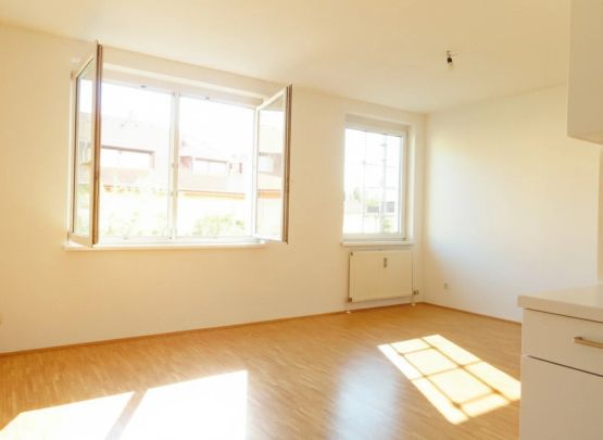 CITY PARK sonnige, sanierte 2ZI mit Allgemeingarten - Photo 1