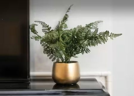 2 Bed Flat, Edgeley Road, SW4 - Photo 4