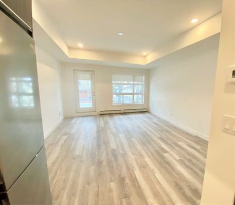 Edmonton Unfurnished apartment Rental in Queen Alexandra/Garneau - NEW Studio Located Close to U of A and Whyte Ave! - Photo 1