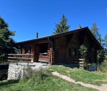4 Zimmer, 45 m² - Photo 4