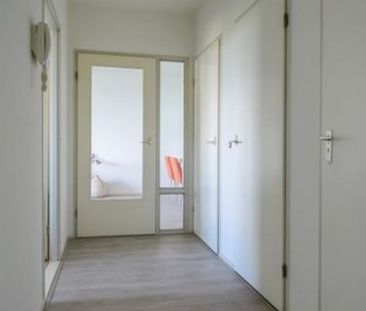 Groningensingel 0ong, 6835 Arnhem, Nederland - Photo 2