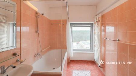 Pronájem mezonetového bytu 3+kk s výhledy na město Brno - Fotografie 4