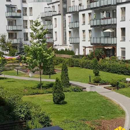Warszawa, Wilanów, Adama Branickiego – zdjęcie 5