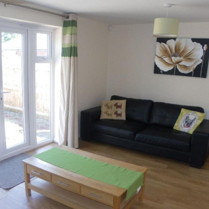 Silver Birch Avenue, Coventry, Canley - Photo 1