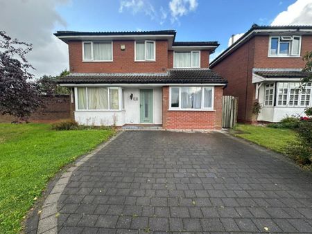 2 bedroom house share to rent - Photo 3