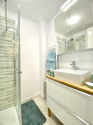 Location Appartement 1 pièce 23m² - Photo 5