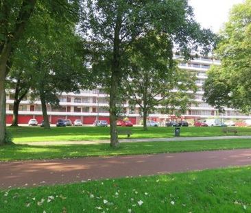 Korfoedreef 3562 SB Utrecht - Foto 6