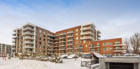 1 Bedroom - 142 Notre-Dame Street, Repentigny - Photo 3