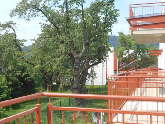 Grottenhofstraße sonnige 2ZI mit 9m² Süd/Balkon ruhig,hochwertig - Photo 1