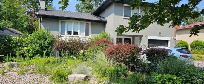 LOWER - 172 ANNE STREET N | LOWER - 172 ANNE STREET N, Barrie - Photo 1