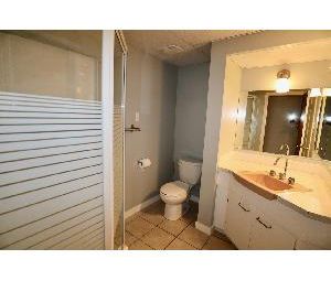 5 Bed 2 Bath Fully Finished Dbl Garage Holyrood For Rent - Photo 3