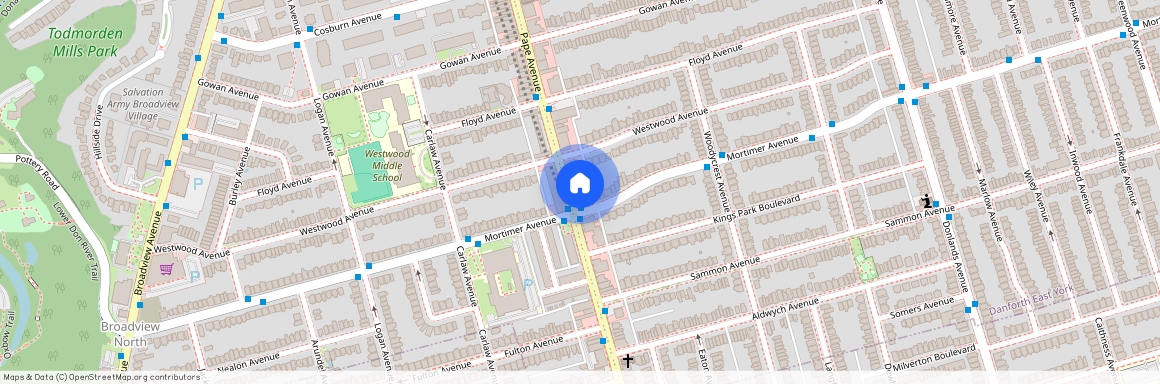 931 Pape Avenue Unit# Lower, Toronto