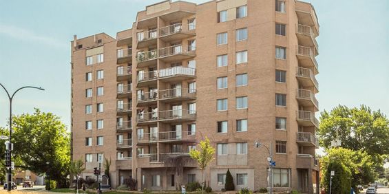 4 ½ - 990 Rue Saint-François-Xavier, Montréal - Photo 3