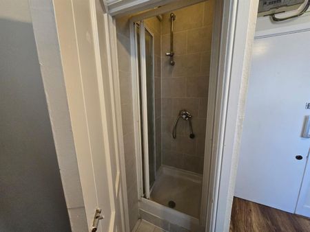 Sydenham Road, London SE26 - Photo 3