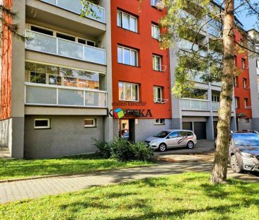 pronájem bytu 1+1, Nerudova ul., Nový Jičín - Photo 2