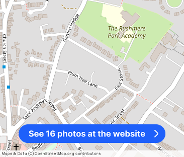 Plum Tree Lane - Photo 1