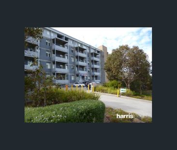 Rusden House Studio - Photo 6