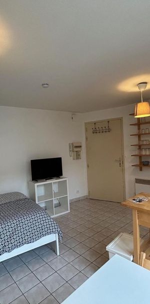 Location Appartement 1 pièce 19m² NIORT 79000 - Photo 1