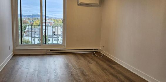 1 CH - 1 SDB - Montréal - $1,545 /mo - Photo 3