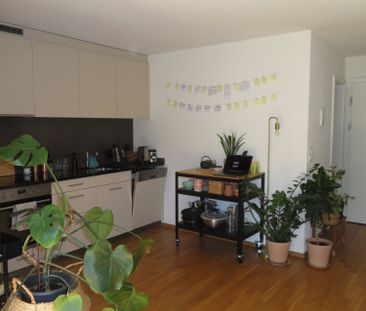1.5 Zimmer, 40 m², 1. Stock - Photo 5